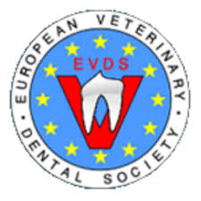 26th European Veterinary Dental Forum @  MALAGA, SPAIN