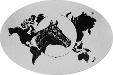World Wide Equine USA