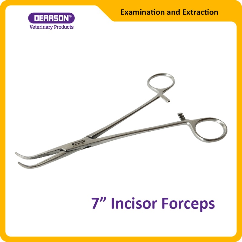 Small 7 Inch Incisor Forceps