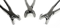 Set of 3 Forceps for Equine Dentistry