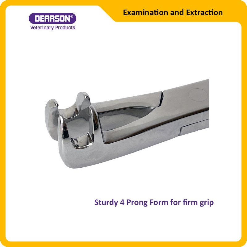 4 prong pre molar cap form