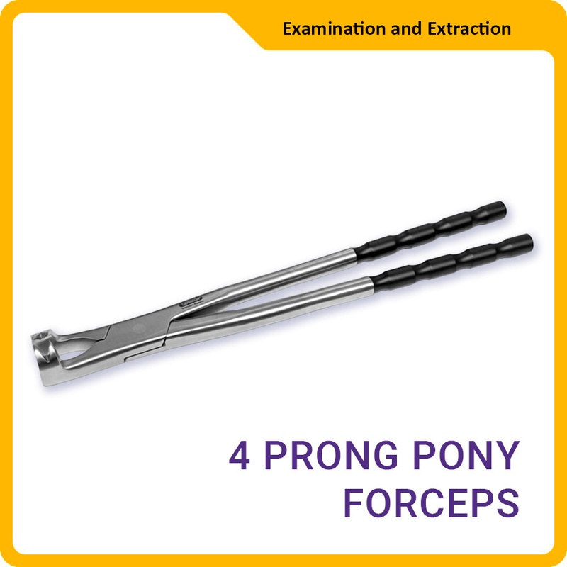 4 Prong 15