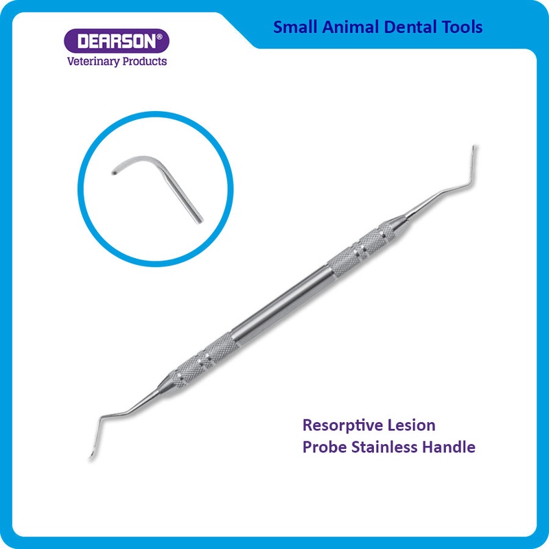 Stainless Resorptive Lesion Probe