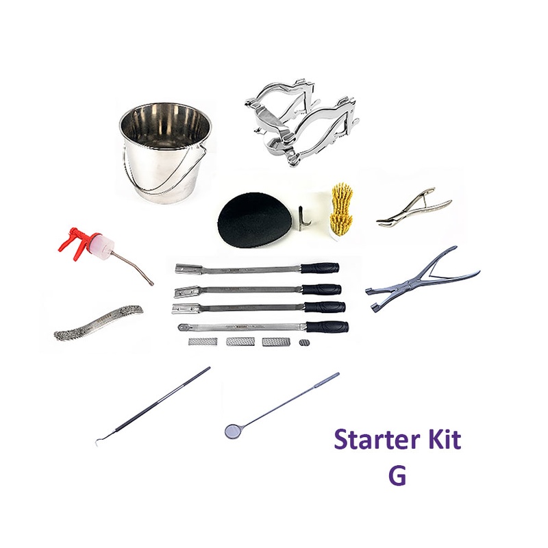 Dentistry Starter Kit A