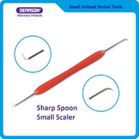 Sharp Spoon Small Scaler Silicone