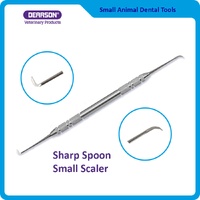 Sharp Spoon Small Scaler Stainless