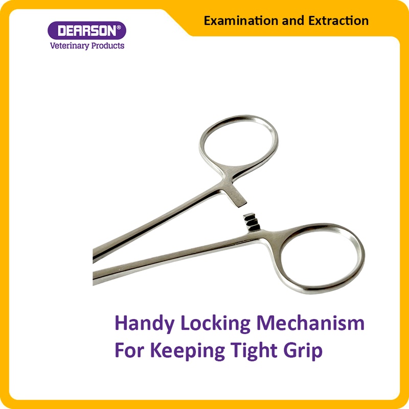 Handy Locking Mechanism