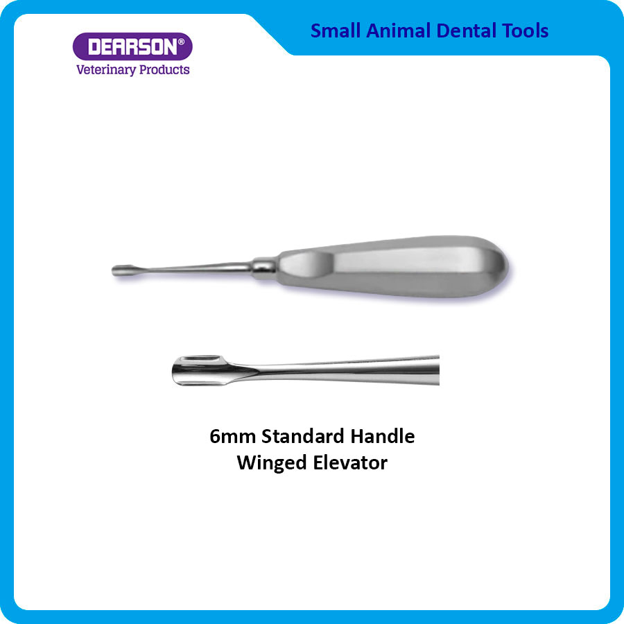 thumbnail image 2 of Surginstruments Dental Elevator Set - 3 Pieces, Stainless Steel, Plastic Handle 2 of 2
