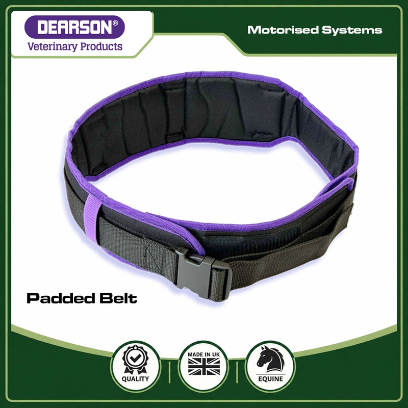 Dental System Belt