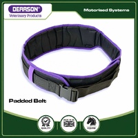 Padded Belt for Dental Systems