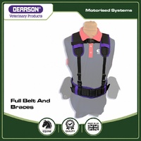 Belt and Braces