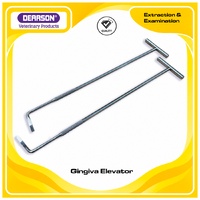 Gingiva Elevator