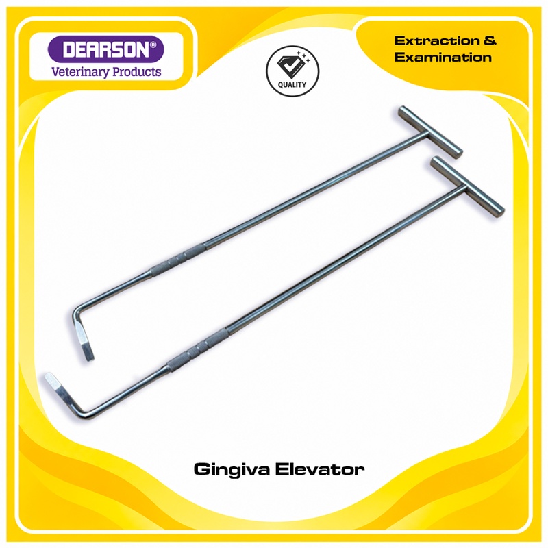 Gingiva Elevator