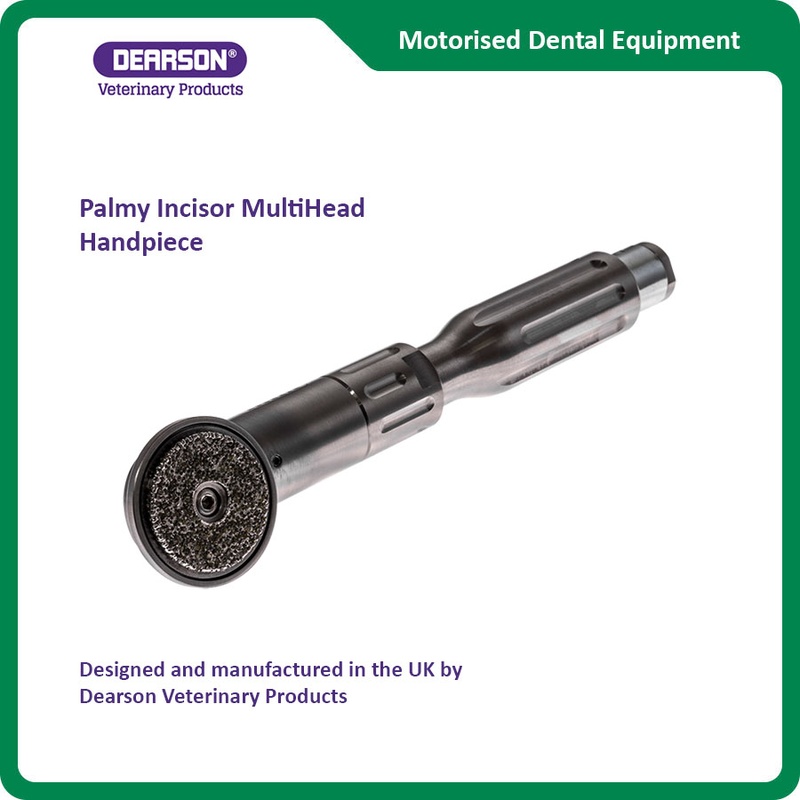 Palmy Incisor Multi Head Handpiece