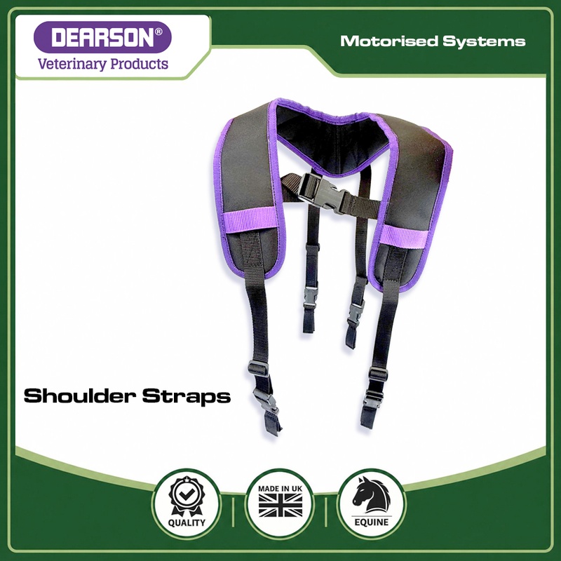 Dental System Braces