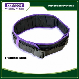 Padded Belt for Dental Systems